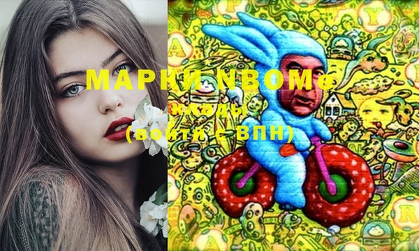 амф Новозыбков