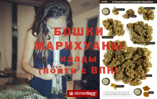 амф Новозыбков