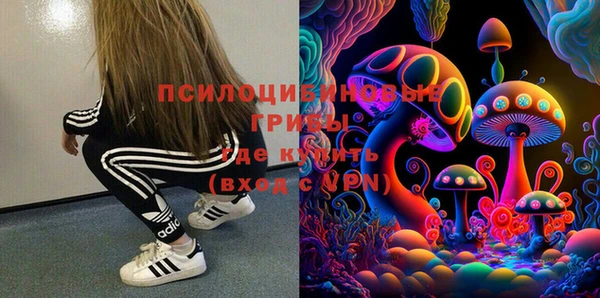 дурь Кинешма