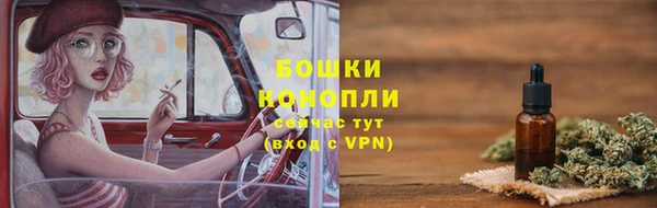ГАЛЛЮЦИНОГЕННЫЕ ГРИБЫ Няндома