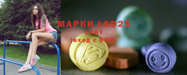ГАЛЛЮЦИНОГЕННЫЕ ГРИБЫ Няндома