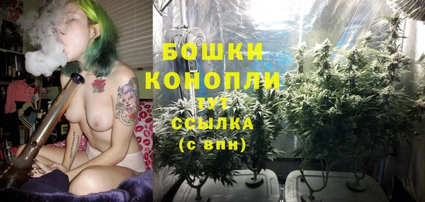 амф Новозыбков