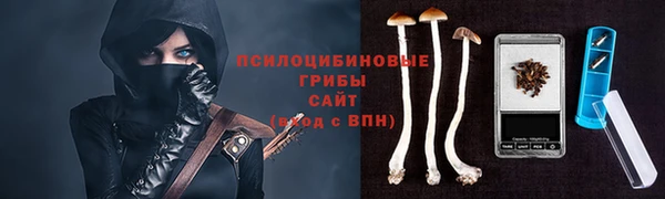 амф Новозыбков