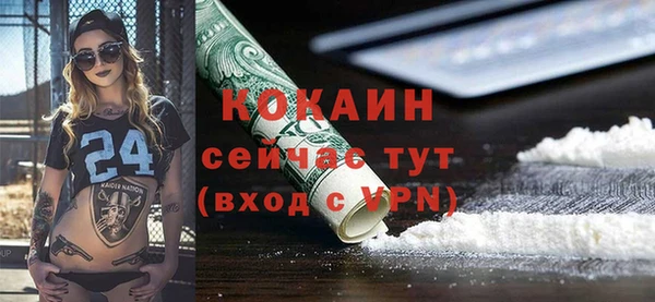 амф Новозыбков