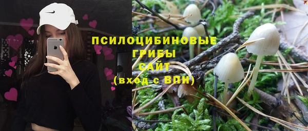 ГАЛЛЮЦИНОГЕННЫЕ ГРИБЫ Няндома
