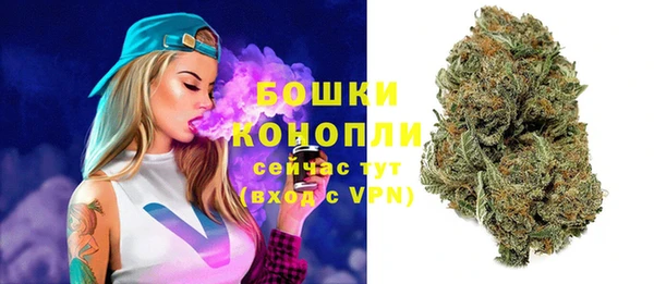 спайс Новодвинск