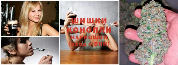 амф Новозыбков