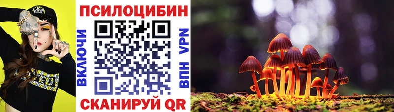 как найти закладки  Когалым  Галлюциногенные грибы Cubensis 