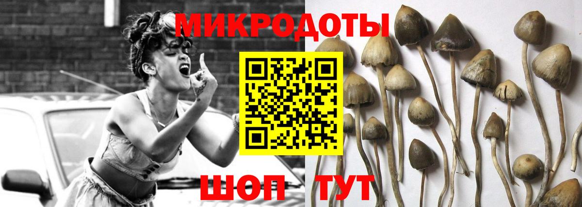 Галлюциногенные грибы прущие грибы Когалым